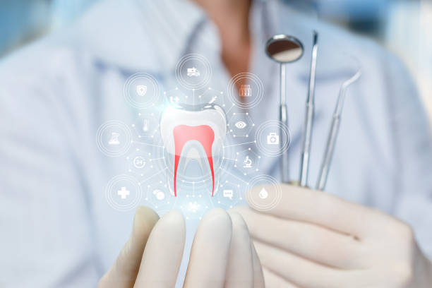 Best Traditional Braces  in Ferndale, WA